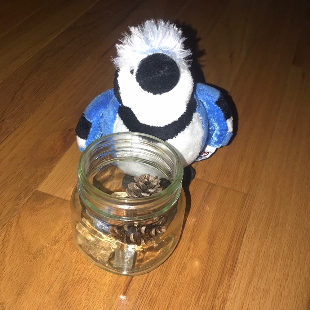 Webkinz Blue Jay Lil Kinz